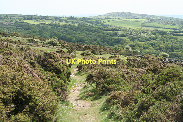 Photo 6"x4" South Brent: above the Avon valley Didworthy c2011