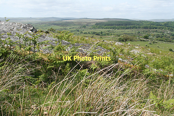 Photo 6"x4" Holne: granite and bracken Hexworthy\/SX6572 c2011