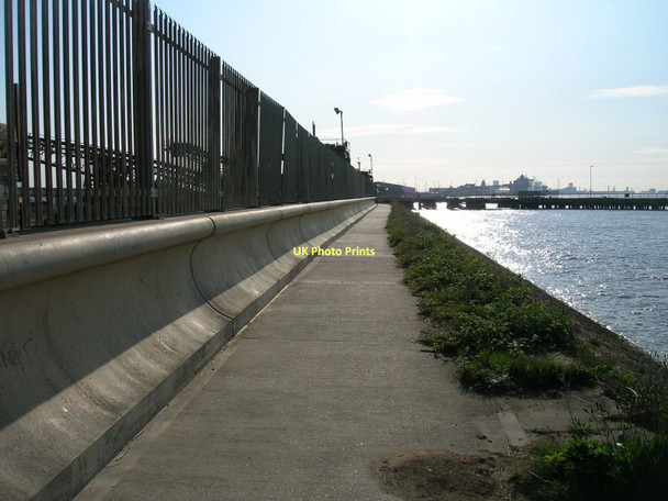 Photo 6"x4" Trans Pennine Trail Marfleet c2011