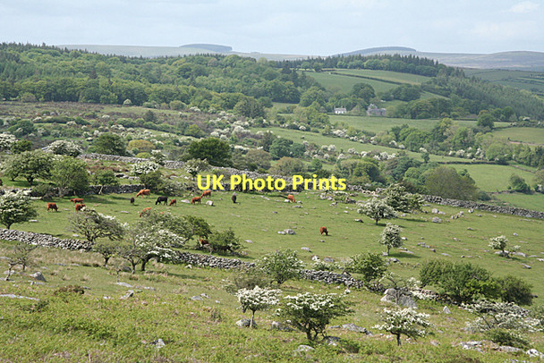 Photo 6"x4" Holne: above Combestone Hexworthy\/SX6572 c2011