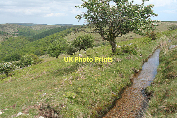 Photo 6"x4" Holne: Holne Moor leat Dartmeet c2011
