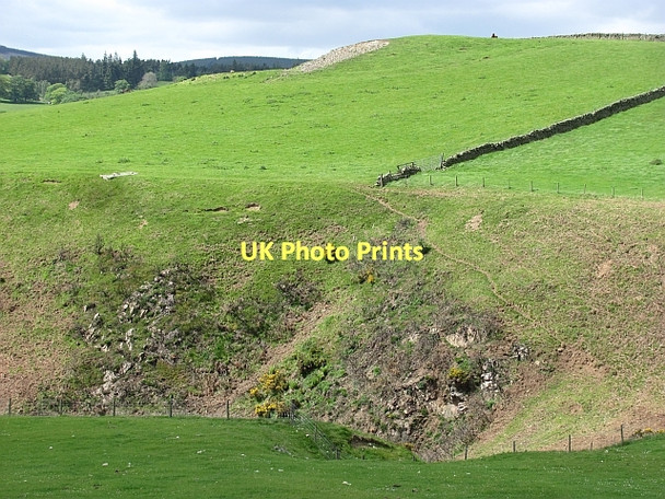 Photo 6"x4" Windylaws Burn Redscarhead c2011