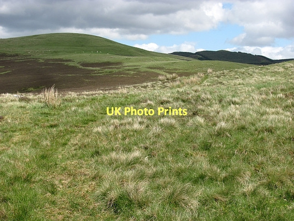 Photo 6"x4" Path, Winkston Hill Mailingsland c2011