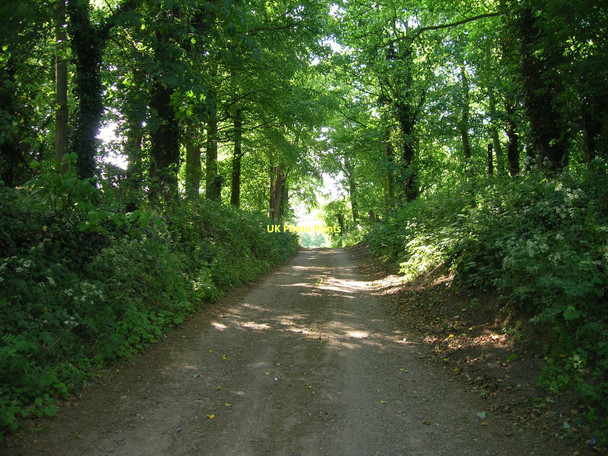 Photo 6"x4" Track to Paull Holme Paull c2011