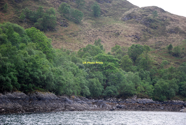 Photo 6"x4" Tarbet Bay Tarbet\/NM7992 c2011