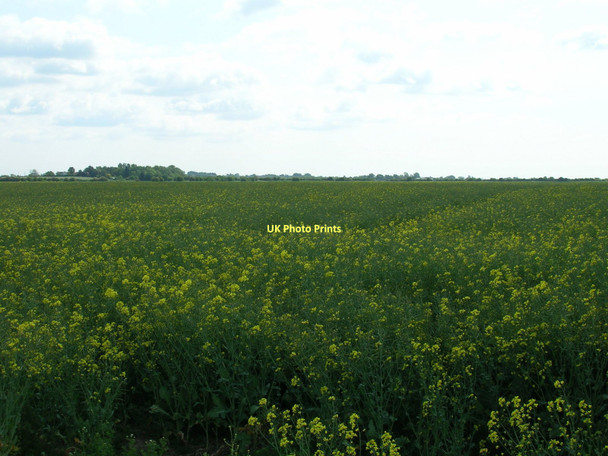 Photo 6"x4" Farmland off Bellcroft Lane Ryehill\/TA2225 c2011