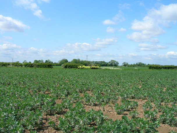 Photo 6"x4" Farmland near Old Little Humber Farm Ryehill\/TA2225 c2011