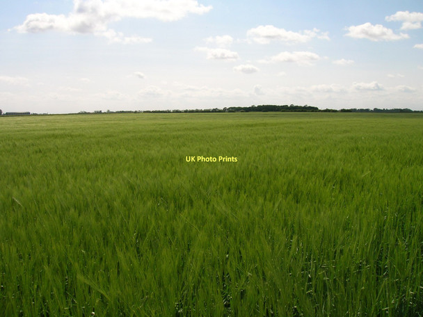 Photo 6"x4" Farmland off Marsh Road Berrygate Hill c2011