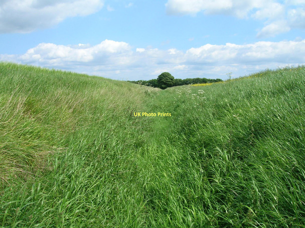 Photo 6"x4" Dry drainage ditch near Sands Farm Sunk Island c2011