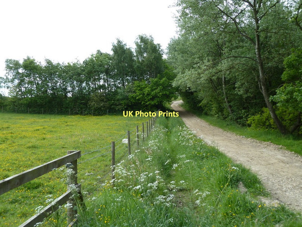 Photo 6"x4" Track to Common End Holmewood c2011