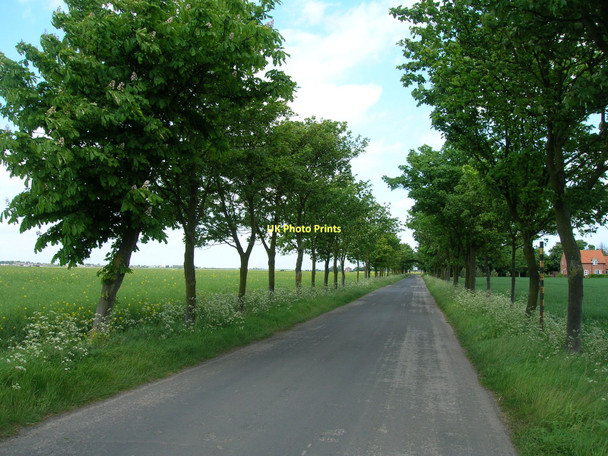 Photo 6"x4" Sunk Island Road towards Ottringham Ottringham c2011