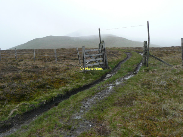 Photo 6"x4" Gate on a hill Fearnan c2011