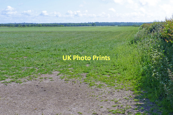 Photo 6"x4" Farm Land to the East of Burton Christchurch\/SZ1592 c2011