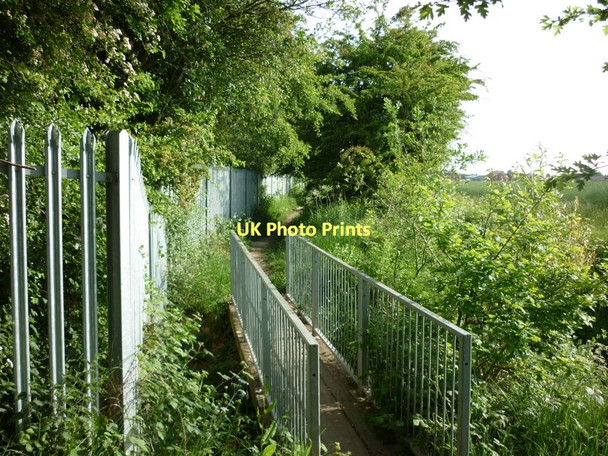 Photo 6"x4" A footpath leading to Moorends near Thorne Hangsman Hill c2011