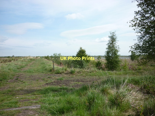 Photo 6"x4" A junction of paths on Thorne Moor Moorends c2011