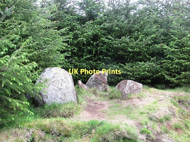 Photo 6"x4" Boulders, Sauchie Craigend\/NS7887 c2011