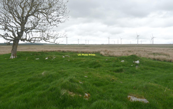 Photo 6"x4" Remains of farmstead at Dalemore Westerdale\/ND1251 c2011