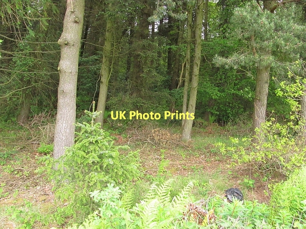 Photo 6"x4" Fiveyates Wood Craigend\/NS7887 c2011