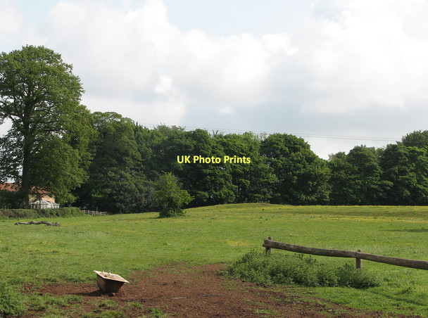 Photo 6"x4" Strelley: the edge of Broadoak Plantation Strelley c2011