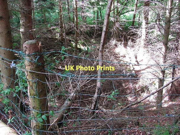 Photo 6"x4" Depression, Butterdean Woods New Town\/NT4470 c2011