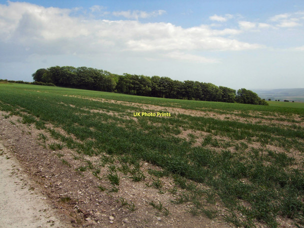 Photo 6"x4" Plumpton Plain Plumpton\/TQ3613 c2011