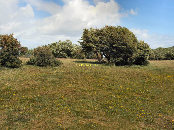 Photo 6"x4" Trees and shrubs near Blackcap Plumpton\/TQ3613 c2011