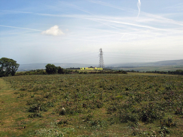 Photo 6"x4" Field near South Downs way Offham\/TQ4012 c2011