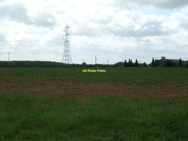 Photo 6"x4" Farmland  Nutwell c2011