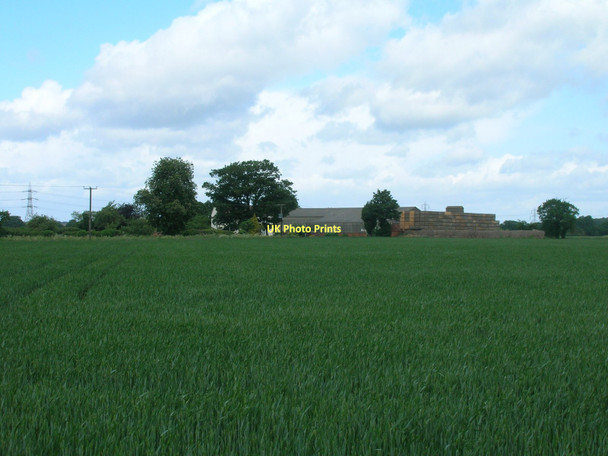 Photo 6"x4" Farmland near Branton Grange Nutwell c2011