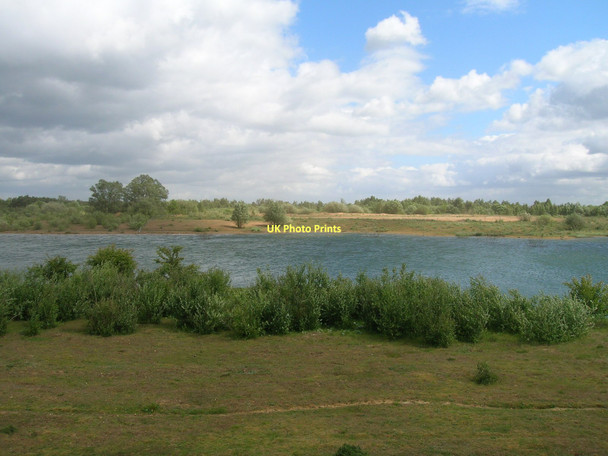 Photo 6"x4" Humberhead Peatlands National Nature Reserve Woodside\/SE7103 c2011