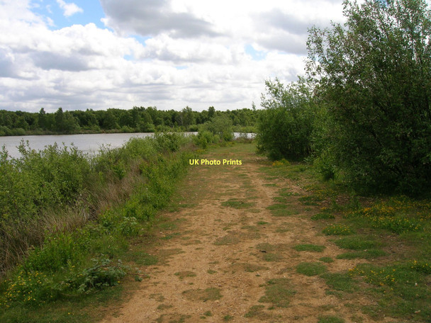 Photo 6"x4" Track in nature reserve Hatfield Woodhouse c2011