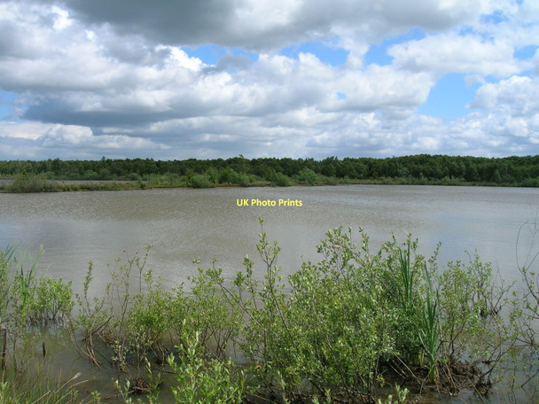 Photo 6"x4" Lake in nature reserve Hatfield Woodhouse c2011