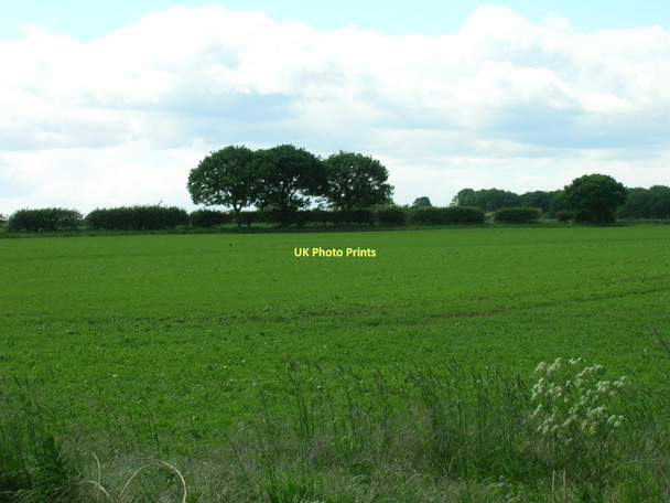Photo 6"x4" Farmland off Moor Dike Road Hatfield Woodhouse c2011 P1