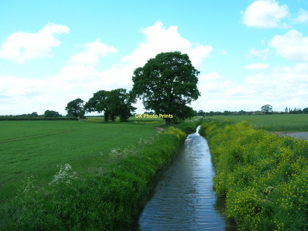 Photo 6"x4" Hatfield Waste Drain looking west Hatfield Woodhouse c2011