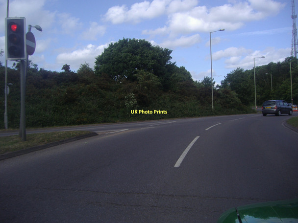 Photo 6"x4" Coppid Beech Roundabout Amen Corner\/SU8468 c2011