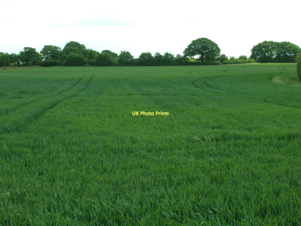Photo 6"x4" Farmland off Mosscroft Lane Dunscroft\/SE6508 c2011