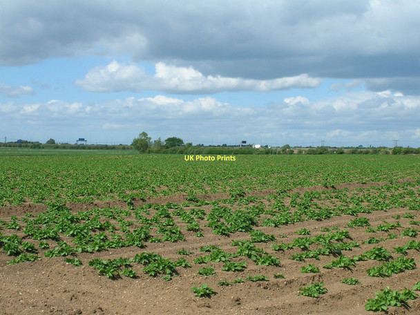 Photo 6"x4" Farmland off the A18 Brierholme Carr c2011