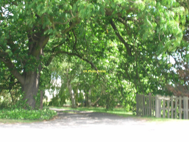 Photo 6"x4" Track to Tudworth Green Farm Brierholme Carr c2011