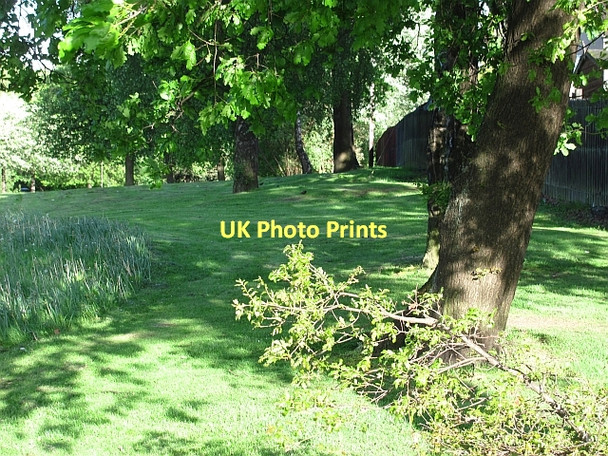 Photo 6"x4" Wooded verge, Alloa Road Alloa c2011
