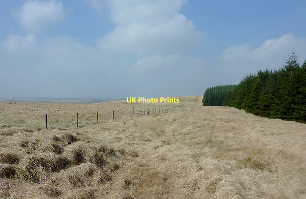 Photo 6"x4" Forest edge north-west of Soar-y-Mynydd, Ceredigion Gouallt c2011