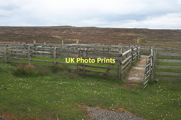 Photo 6"x4" Sheep Pens Brocair c2011