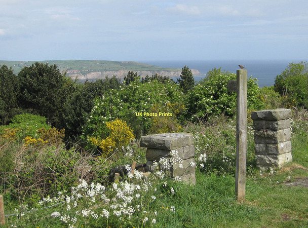 Photo 6"x4" Footpath to the former railway line Ravenscar c2011