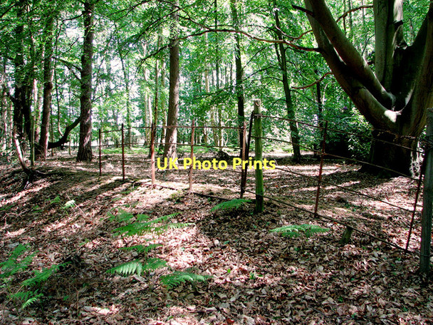 Photo 6"x4" Old iron fence surrounding property at Fritton Warren Fritton\/TG4600 c2011
