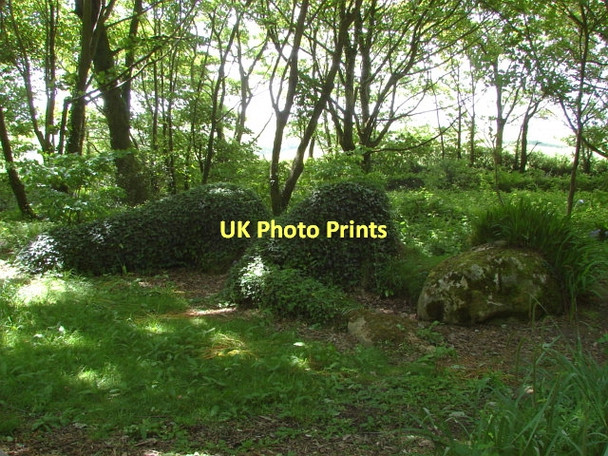 Photo 6"x4" The Lost Gardens of Heligan Kestle\/SW9945 c2011