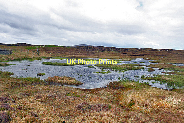 Photo 6"x4" Boggy Pools Bail' Ur Tholastaidh c2011