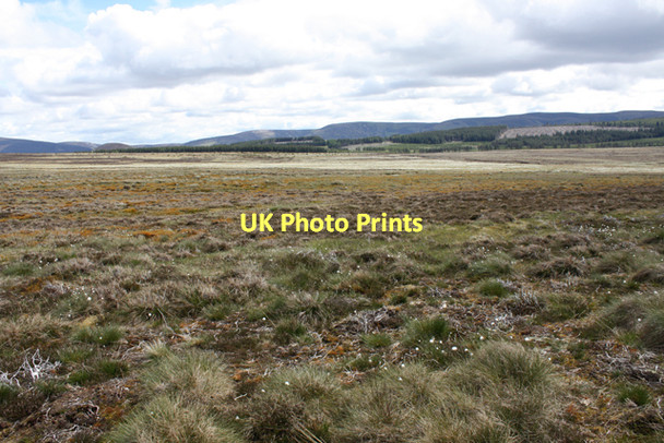 Photo 6"x4" Moorland, Carn De\u00c3\u00b2naid Auchnarrow c2011