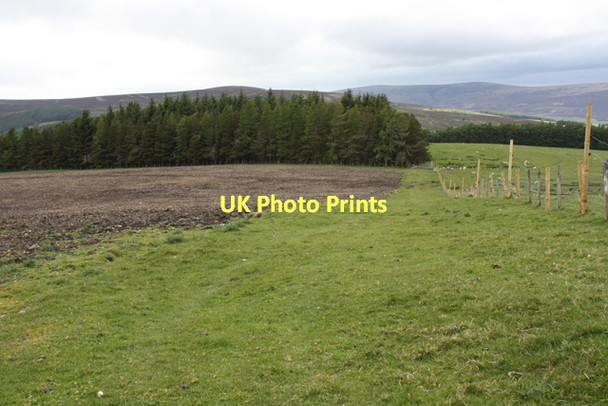 Photo 6"x4" Farmland on Nevie Hill Tomnavoulin c2011