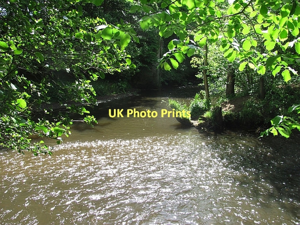 Photo 6"x4" Meeting of the Waters Dalkeith\/NT3467 c2011