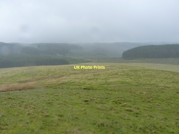 Photo 6"x4" Towards the forests around Moel Prsygau Source of Afon Tywi c2011