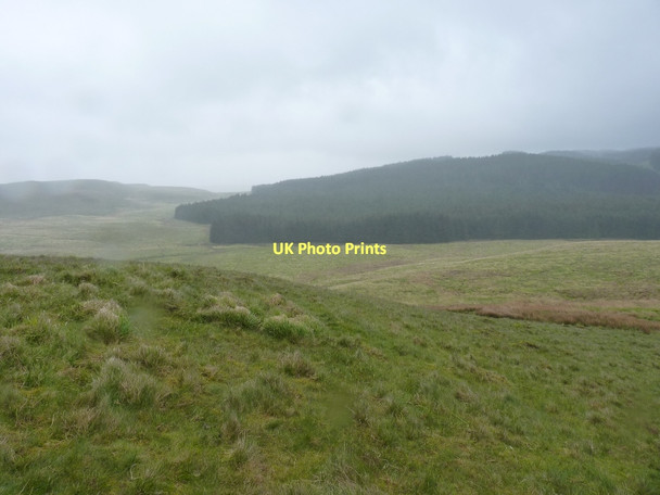 Photo 6"x4" Hillside and bog above the source of the Tywi Source of Afon Tywi c2011